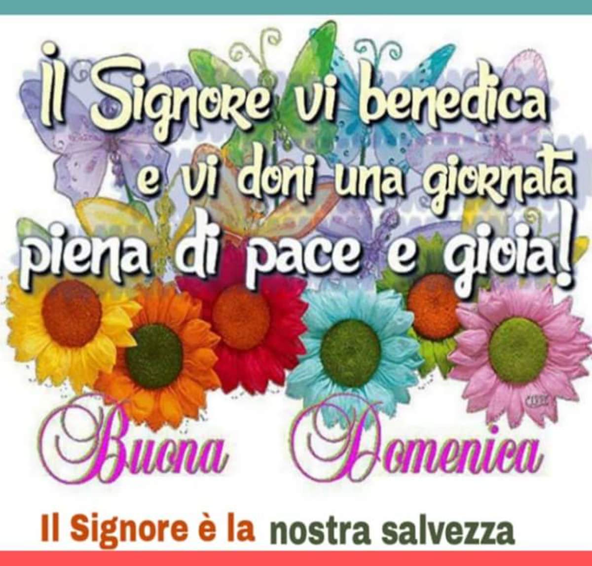 Il Signore vi benedica Buona Domenica