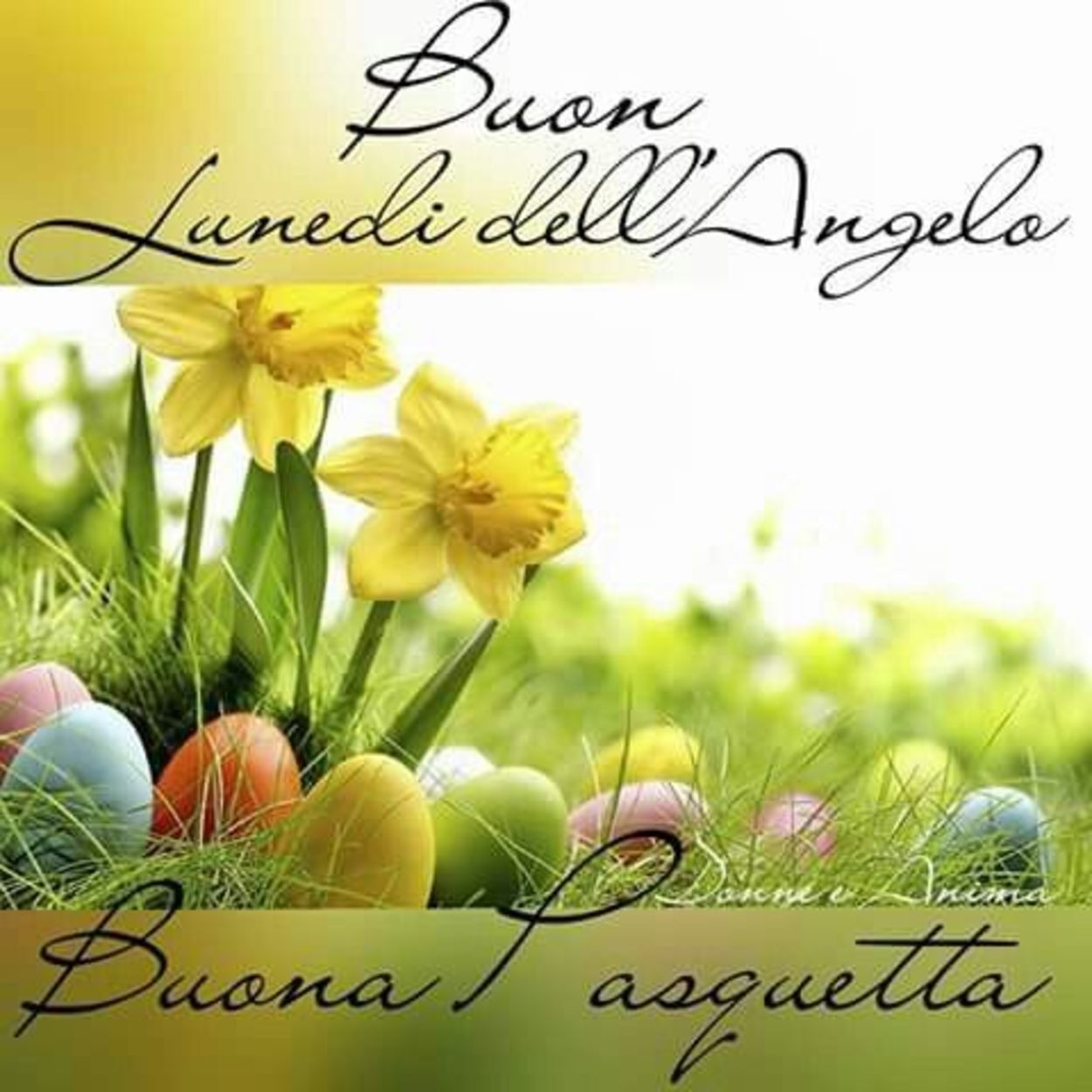 Buon Lunedì dell'Angelo buona giornata