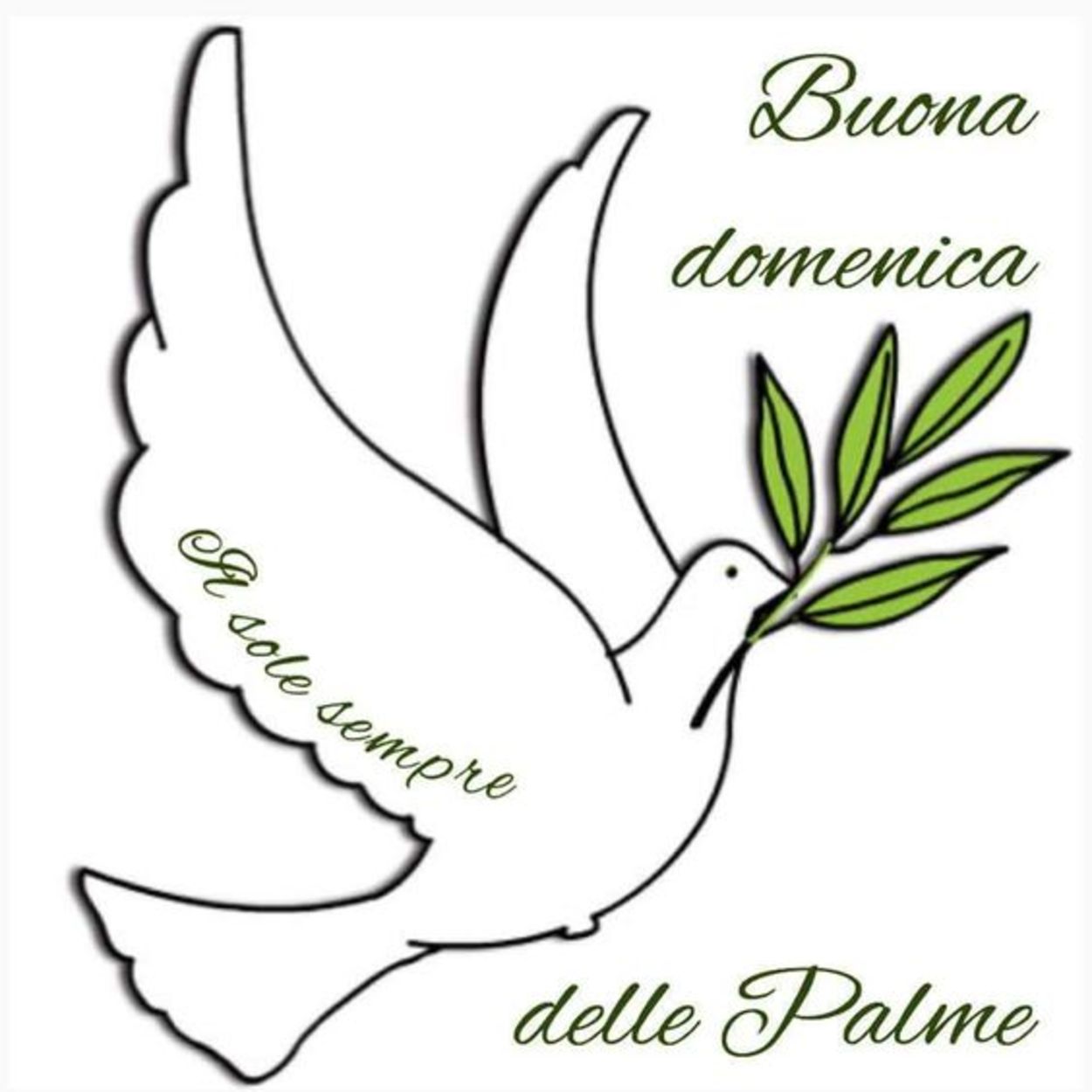 Buona Domenica delle Palme 113