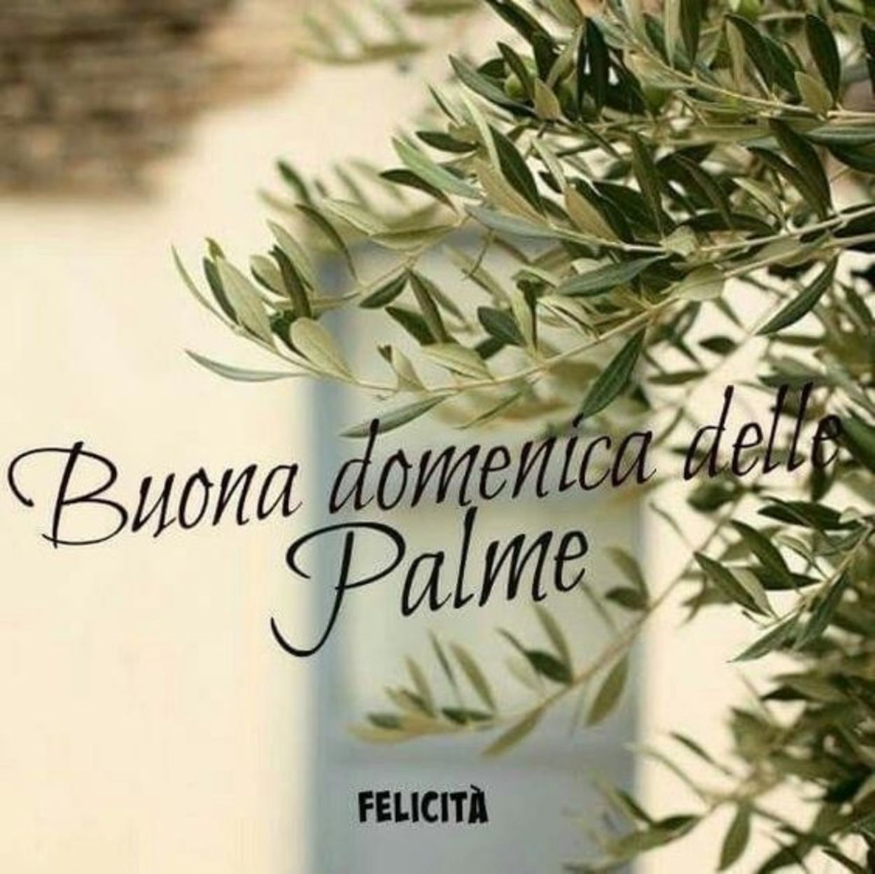 Buona Domenica delle Palme immagini cristiane 575