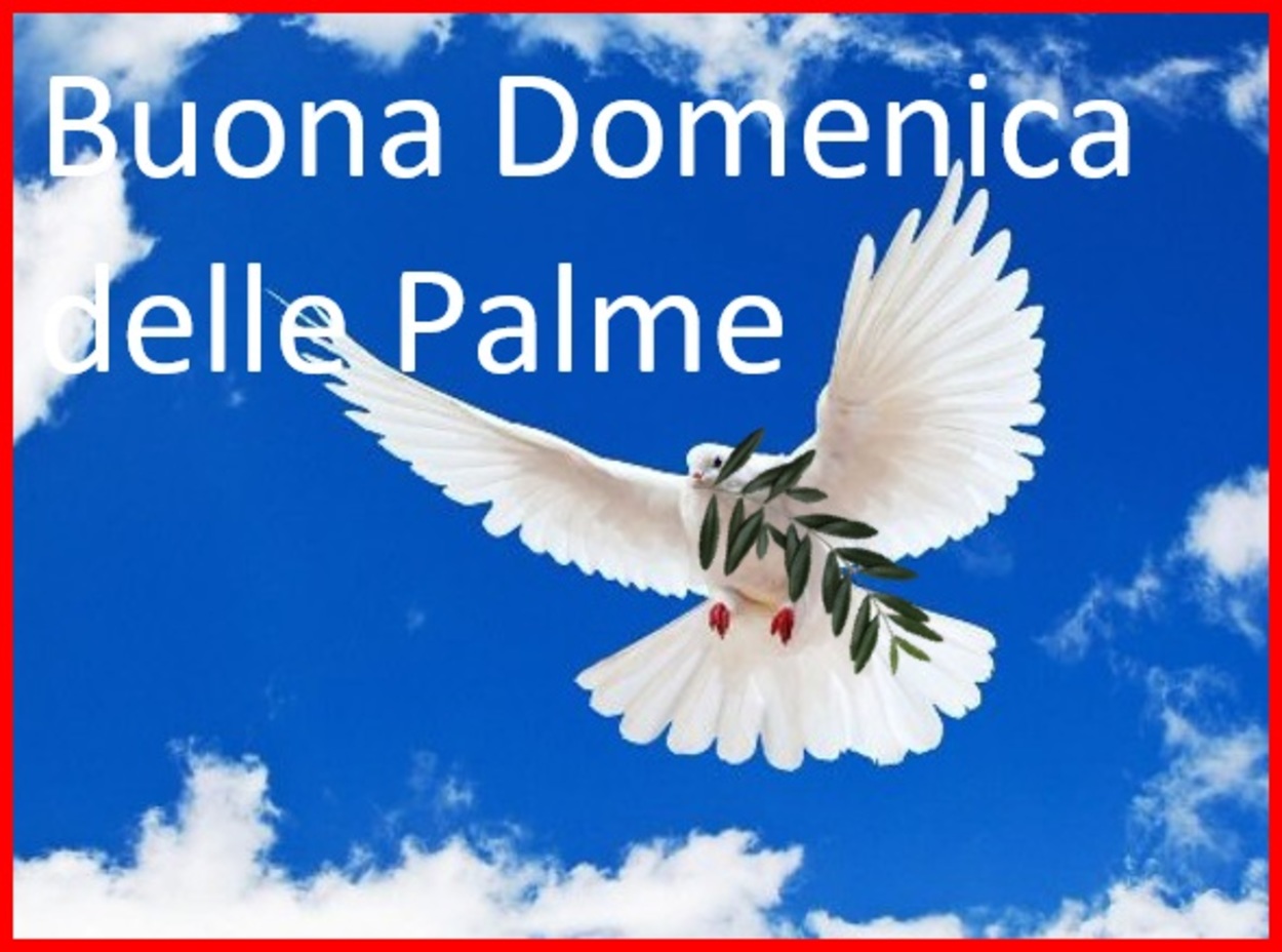 Buona Domenica delle Palme immagini cristiane 637