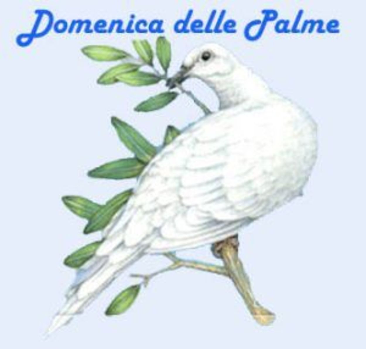 Buona Domenica delle Palme immagini cristiane 638