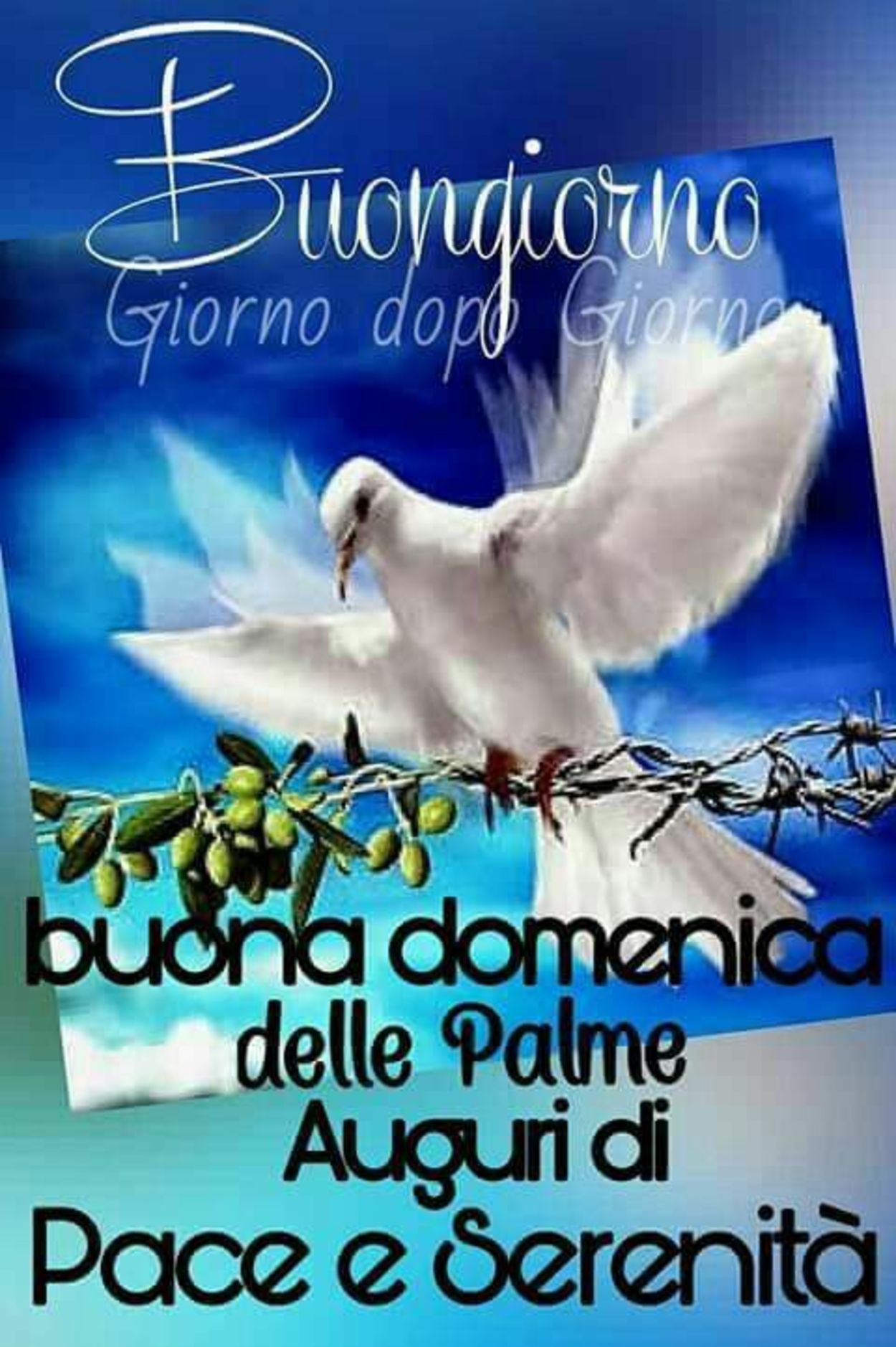 Buona Domenica delle Palme immagini religiose 34