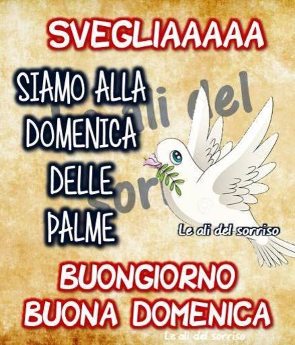 Buona Domenica delle Palme immagini sacre 490