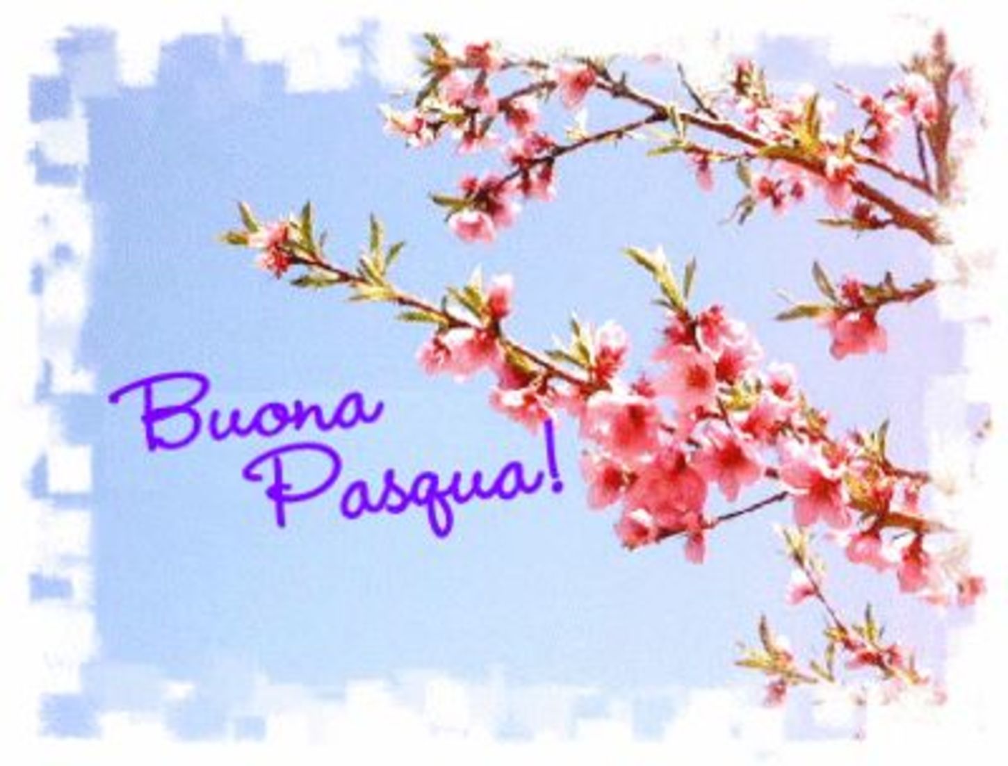 Buona Pasqua 4