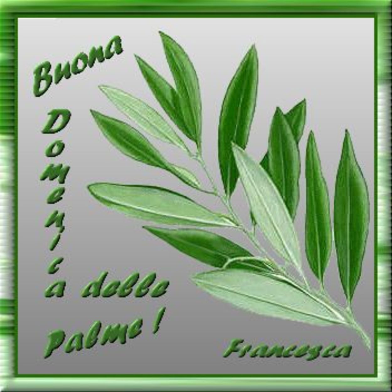 Frasi e immagini sacre Domenica delle Palme 920