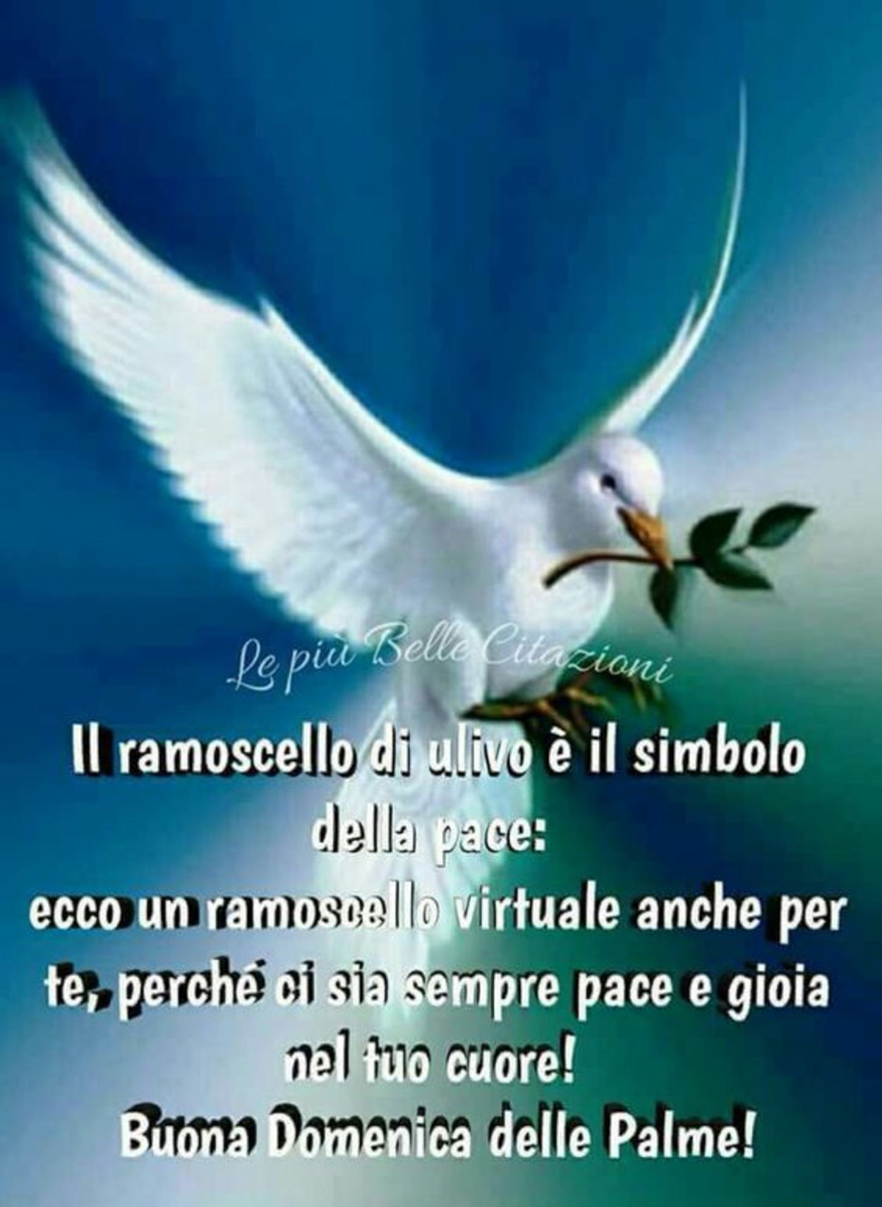 Immagini religiose Buona Domenica delle Palme 674