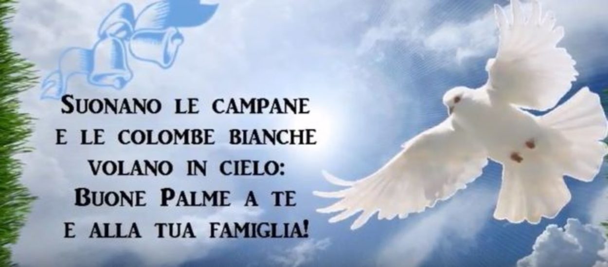 Immagini religiose Buona Domenica delle Palme 718