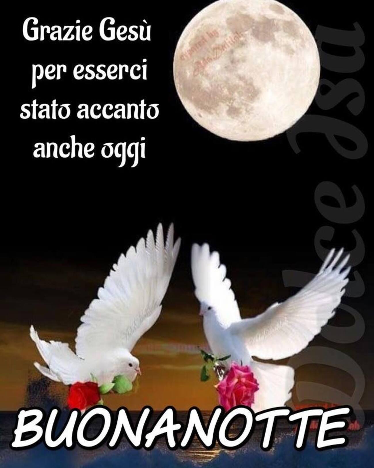 Grazie Gesù per esserci stato accanto anche oggi BUONANOTTE