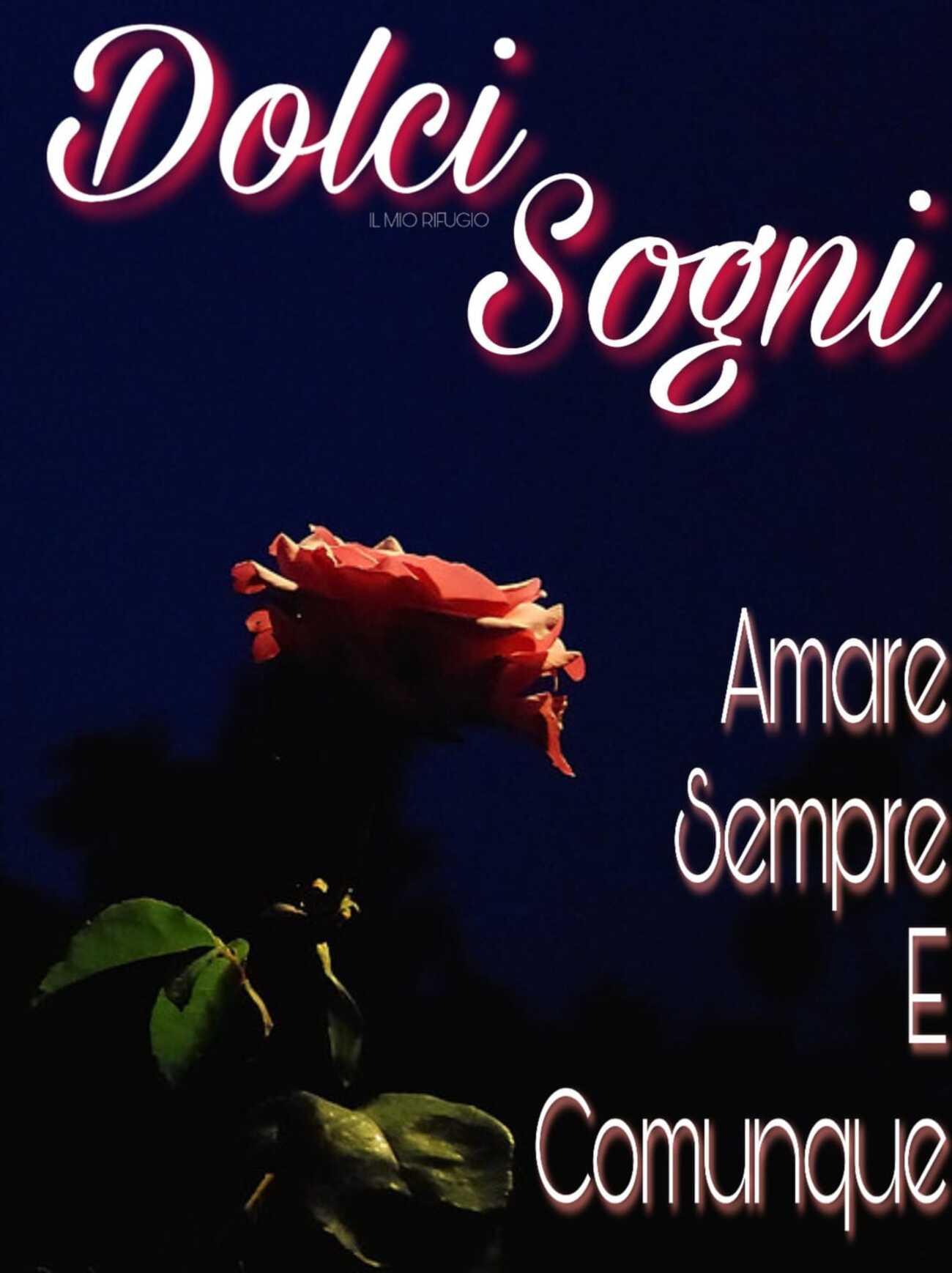 Immagini notte Gesù 2