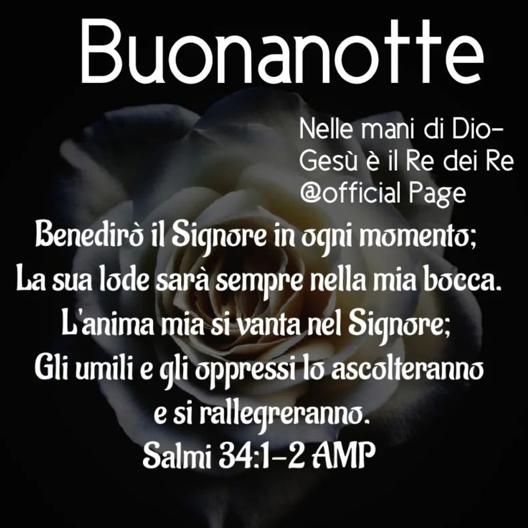Santa Notte per gruppi di preghiera (3)