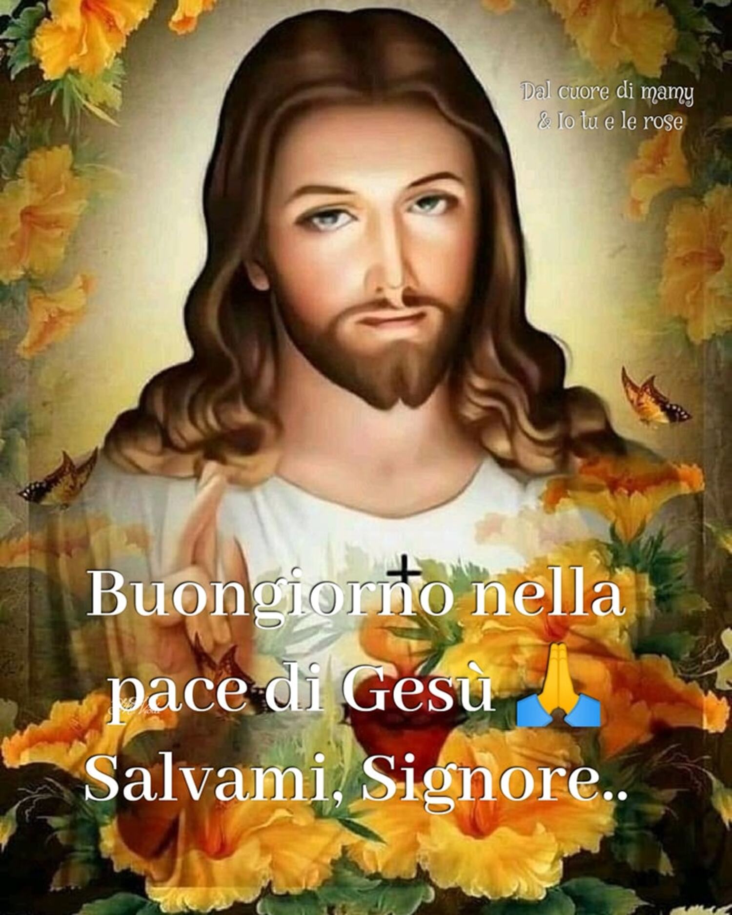 Buongiorno nella pace di Gesù salvami Signore