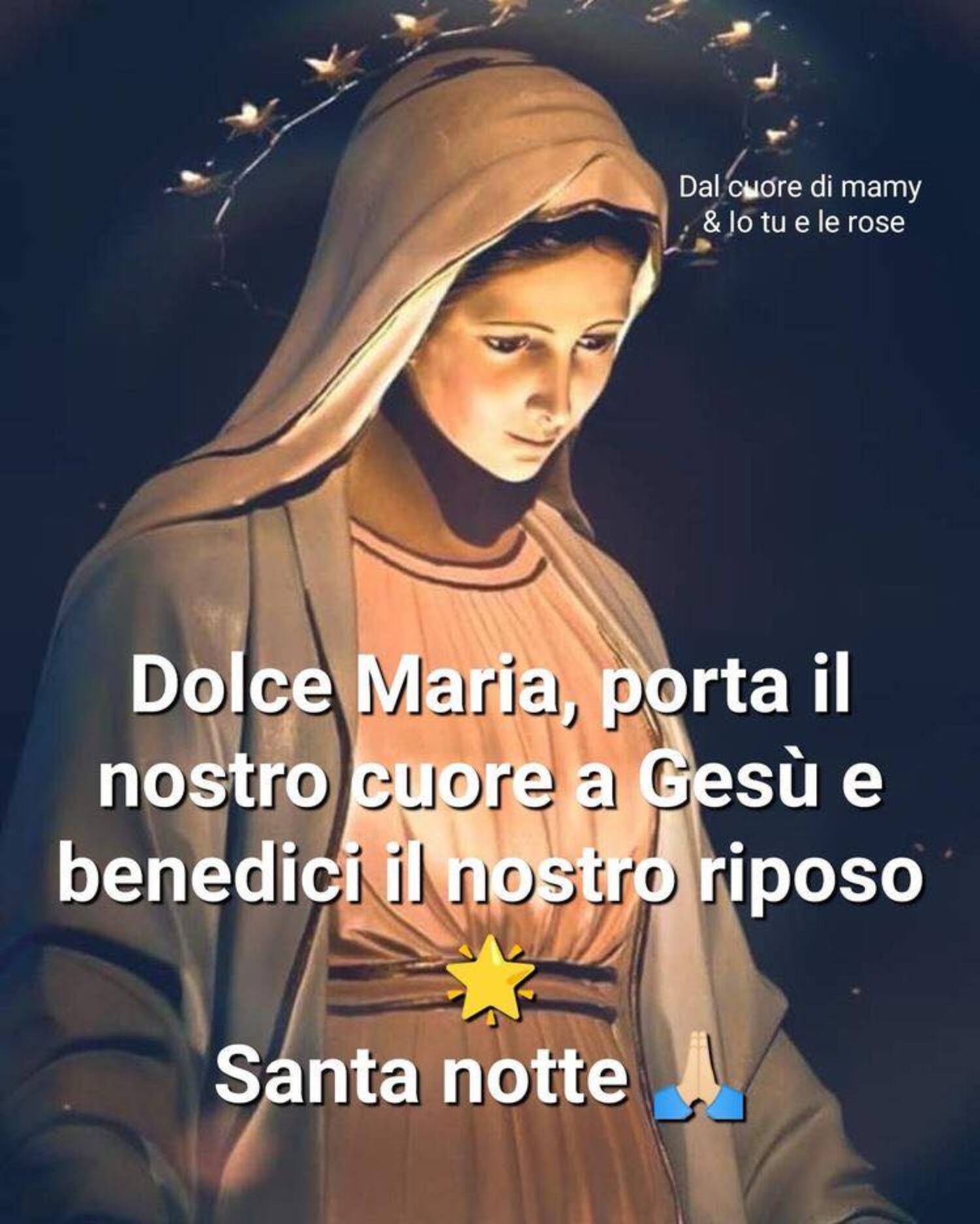 Dolce Maria porta il nostro cuore a Gesù e benedici il nostro riposo Santa Notte