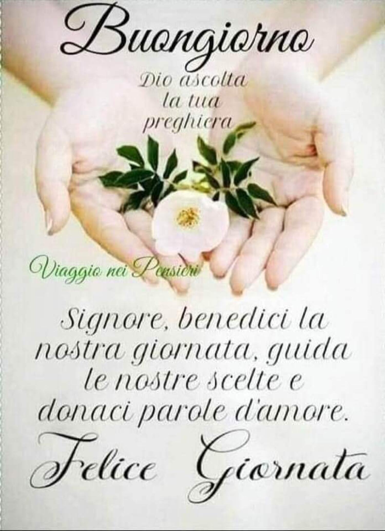 Felice Giornata Signore benedici la nostra giornata guida le nostre scelte e donaci parole d’ amore