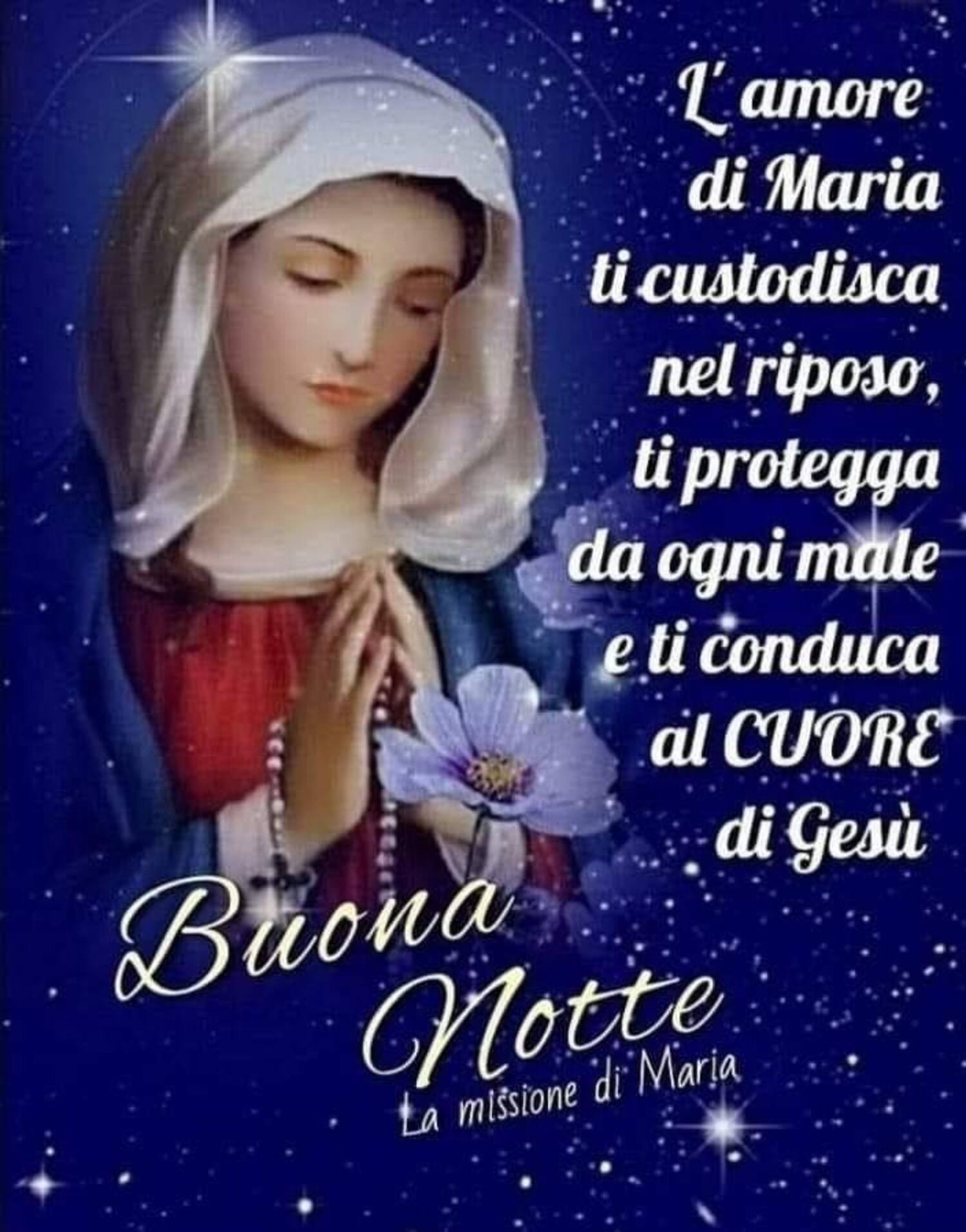 L amore di Maria ti custodisca nel riposo e ti protegga da ogni male buona notte