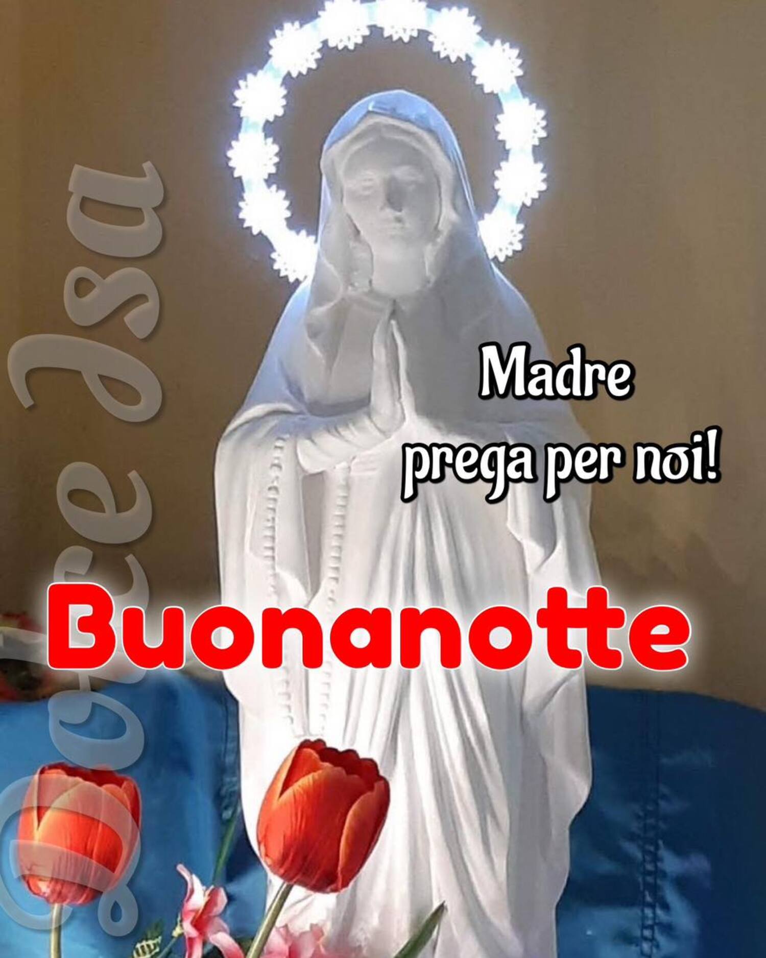 Madre prega per noi buonanotte